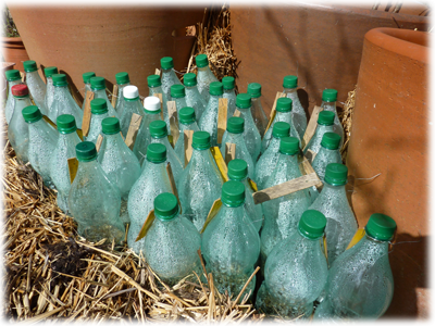 Effet de serre en bouteille : Les Ateliers en Herbe