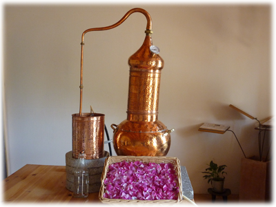 Atelier Cueillette et distillation - Les Ateliers en Herbe