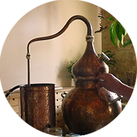 Atelier cueillette et distillation - Les Ateliers en Herbe.