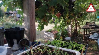 introduction au jardinage co-créatif aux Jardins de Baugnac